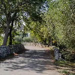 Tra Gli Ulivi - *