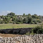 Tra Gli Ulivi - *