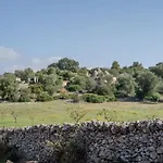 Tra Gli Ulivi - *