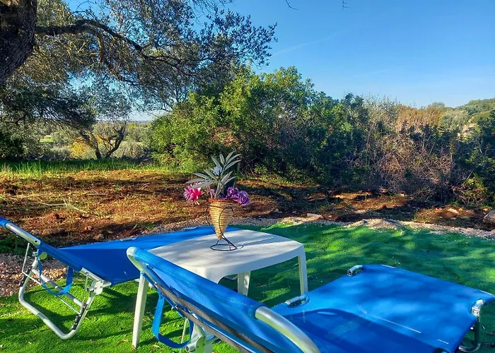 Tra Gli Ulivi - Villa