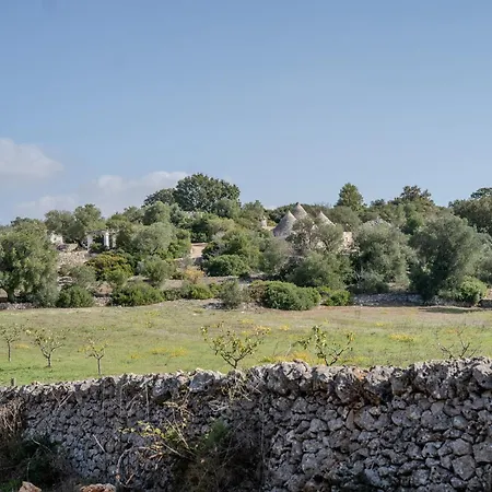 Tra Gli Ulivi - *