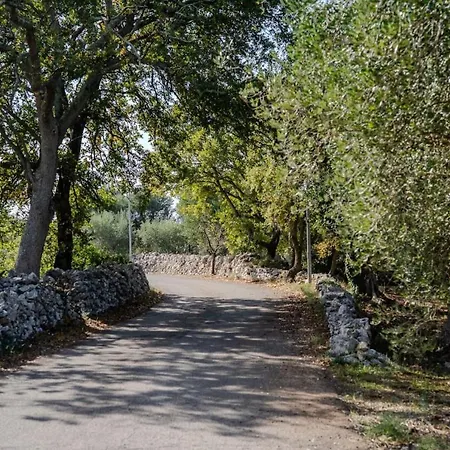 فيلة Tra Gli Ulivi -