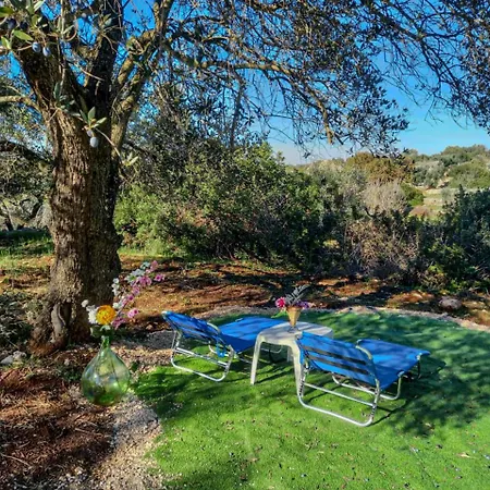 Dimora Tra Gli Ulivi - Ostuni Villa *