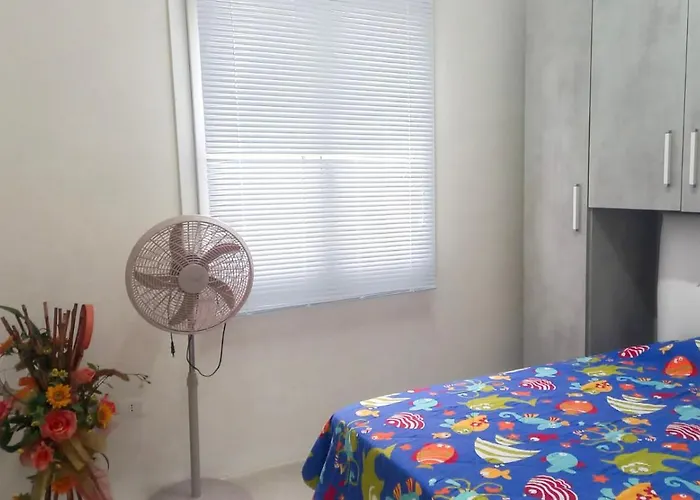 Willa Tra Gli Ulivi -